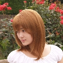 アイリスモデル