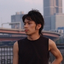 アイリスモデル