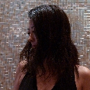 アイリスモデル